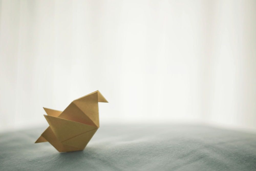 NelioSoft's tweet card. In this post we take a look at some JS testing frameworks and we create a simple example with QUnit. Also, there's a couple of videos with great tips.