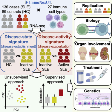 CellCellPress's tweet card. A large-scale transcriptome analysis of 27 immune cell types from systemic lupus erythematous patients and healthy controls reveals two distinct pathological signatures of disease establishment and...