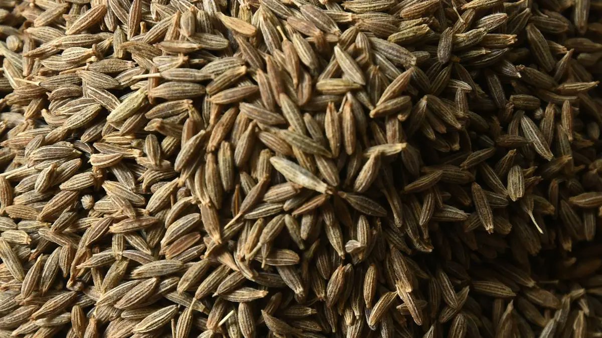 rajesh10sharma's tweet card. India's cumin exports are declining due to weak demand from China and political instability in Bangladesh affecting shipments.