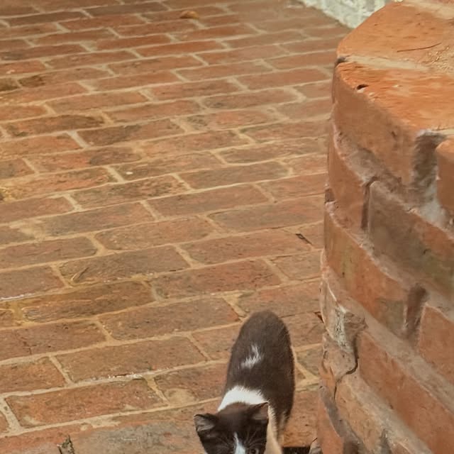 NE2T_555's tweet card. w (@warwanarat) • Instagram photos and videos