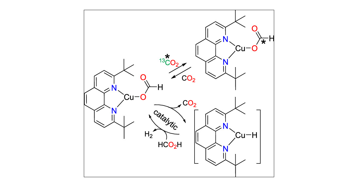 TCantat's tweet card. Monometallic formate complexes of copper(I) are rare. We report here the synthesis, characterization, and crystal structure of the simple tricoordinate [(phen*)CuI(κ1-O2CH)] (1) supported with the...