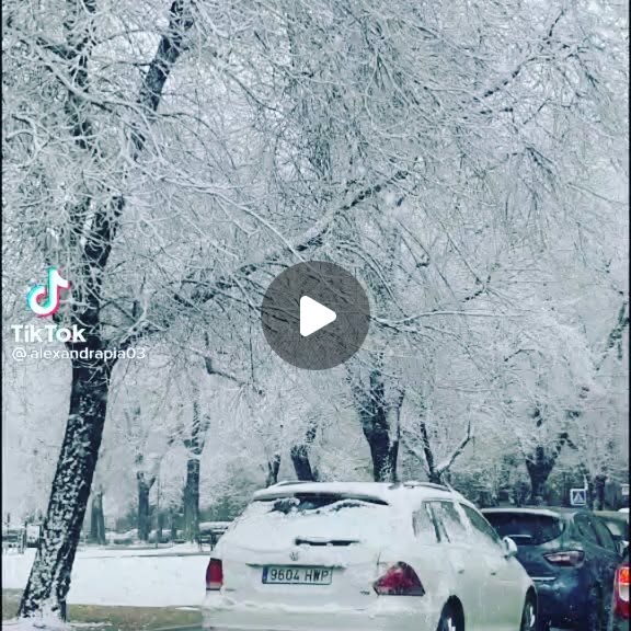 robert_alecs's tweet card. Robylun21 (@robylun21) • Instagram video