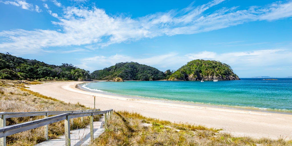 TulipPenney's tweet card. New Zealand's "golden" visa applications from Americans surge 72% after the country launched a new Business Investor Work Visa, offering permanent residency.