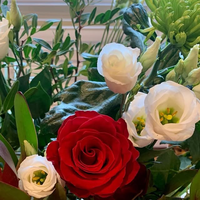 FionaGarlingto1's tweet card. Fiona Garlington (@garlingtonfiona) • Instagram photo