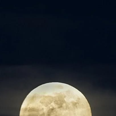 FreeFlowRising's tweet card. Tanner (@free.flow.rising) • Instagram photos and videos