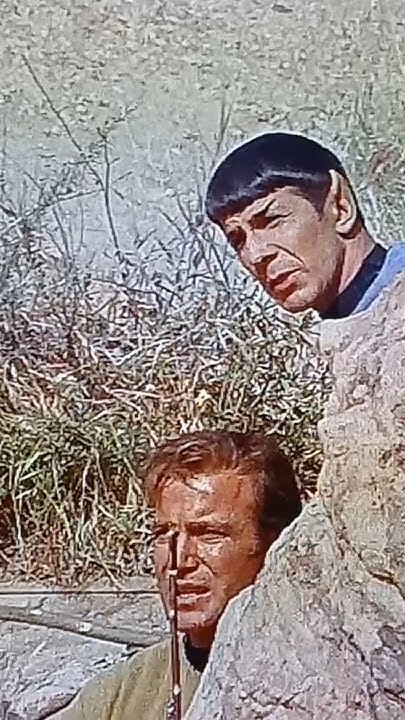 Shepard1923's tweet card. Revenge Captain? Why not. ##startrek #classic #tos