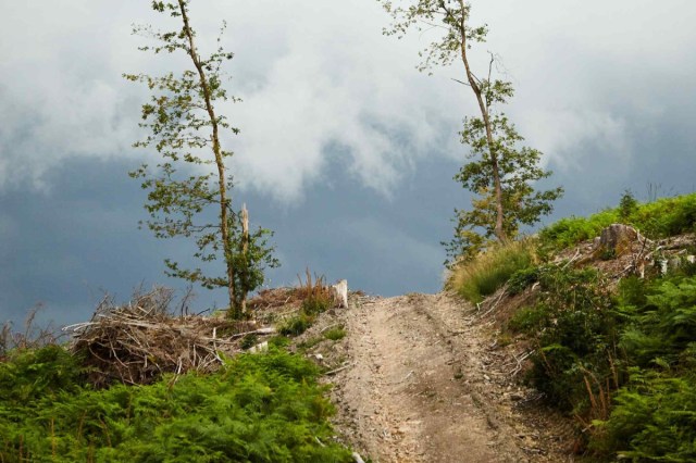 Ruthiebaker19's tweet card. It’s a story I go back to often. Genesis 22: God tests Abraham’s faith by commanding him to take his son Isaac and sacrifice him with his own hand. There was so much in this passage, and yet nothin…