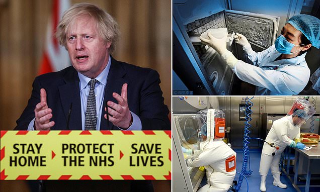 BorisJohnson's tweet card. You what? I said to my team in Number Ten, as they explained the origins of Covid. What did you say they were doing?