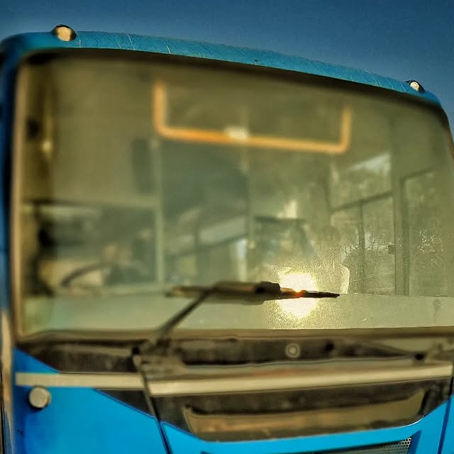 safar_wid_msrtc's tweet card. RANCHAL PARDHI (@safarwith_rancho) • Instagram photo