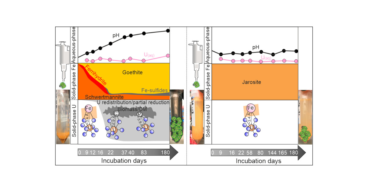 ChangxunY's tweet card. This study exposes U(VI)-sorbed schwertmannite and jarosite to biotic reductive incubations under field-relevant conditions and examines the changes in aqueous and solid-phase speciation of U, Fe,...