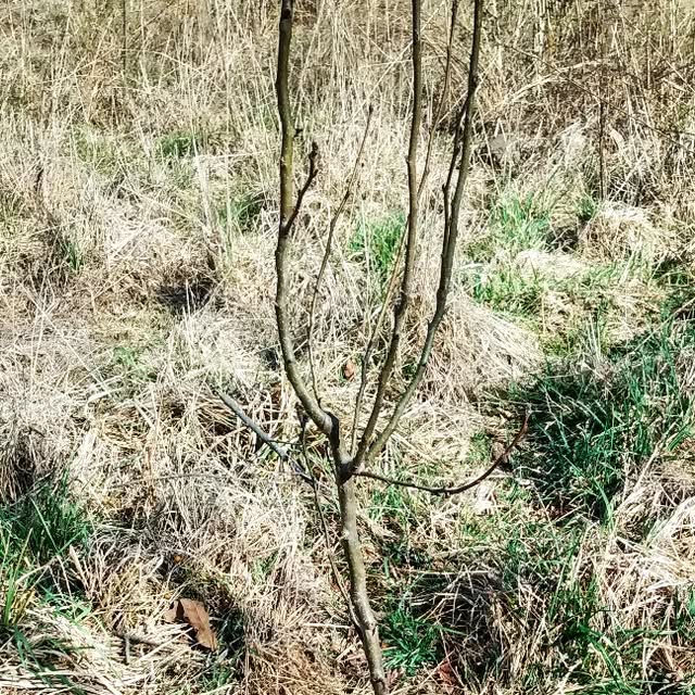 practical_witch's tweet card. Practical Witch (@practical.witches) • Instagram photo