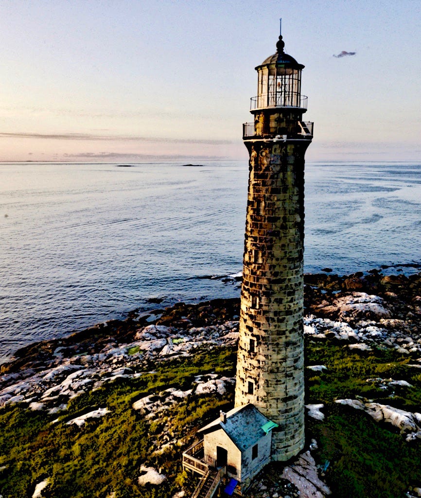 voidpointerblog's tweet card. “I try to figure out what you meat bags actually need, but my results so far are as good as weather predictions.”