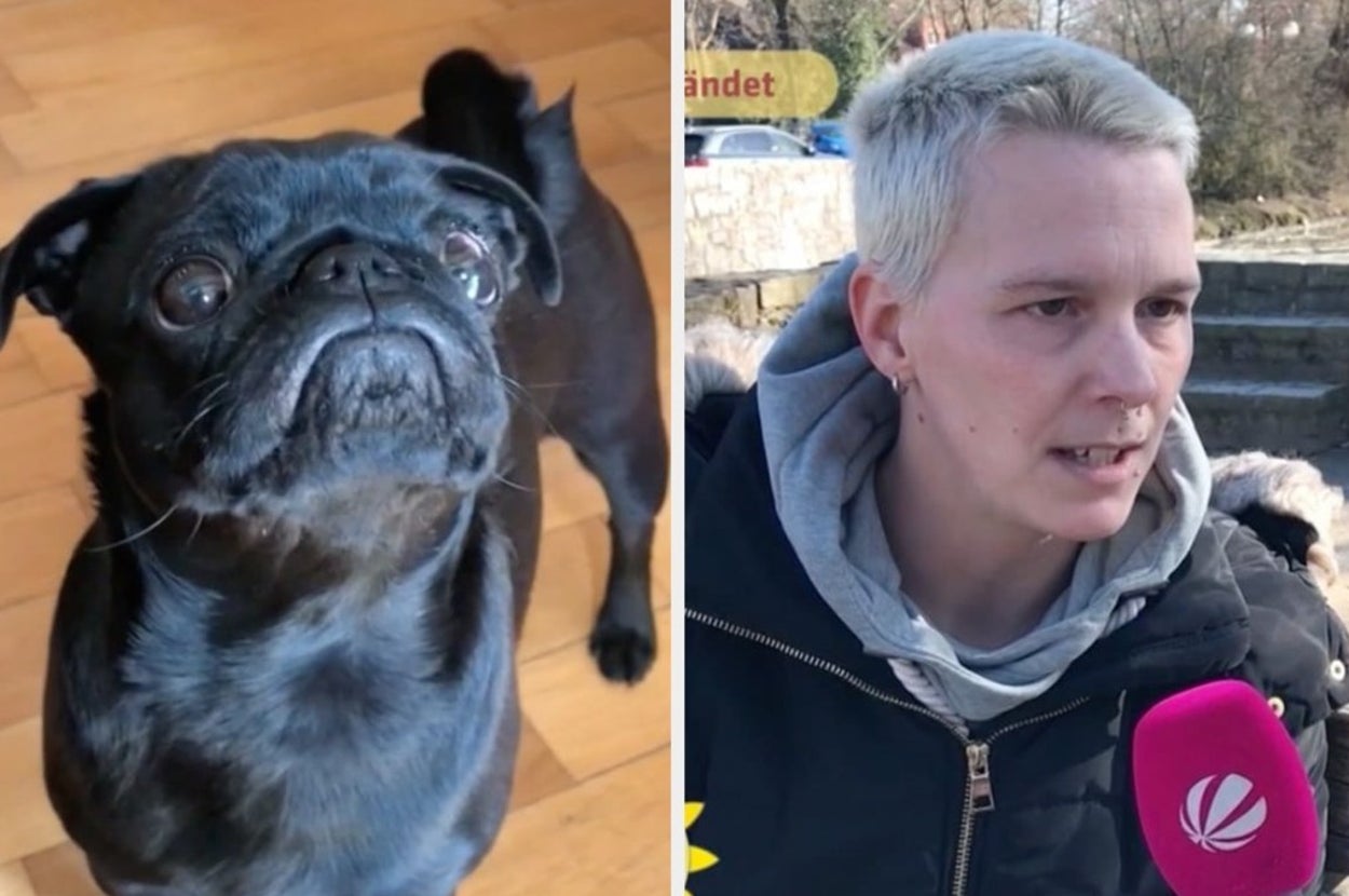 FreePetsJP's tweet card. 差し押さえに何も手段を講じられないことは分かっていた。