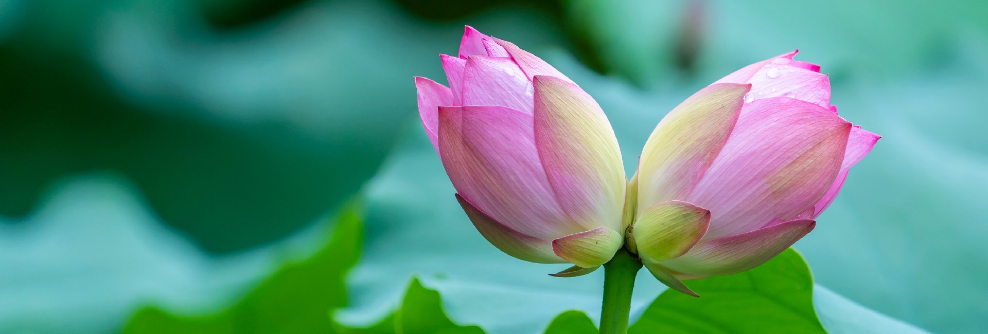 PregnancyLossIE's tweet card. Learn, Study and Research in UCC, Ireland's first 5 star university. Our tradition of independent thinking will prepare you for the world and the workplace in a vibrant, modern, green campus.