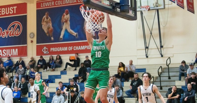 Tweet card summary image