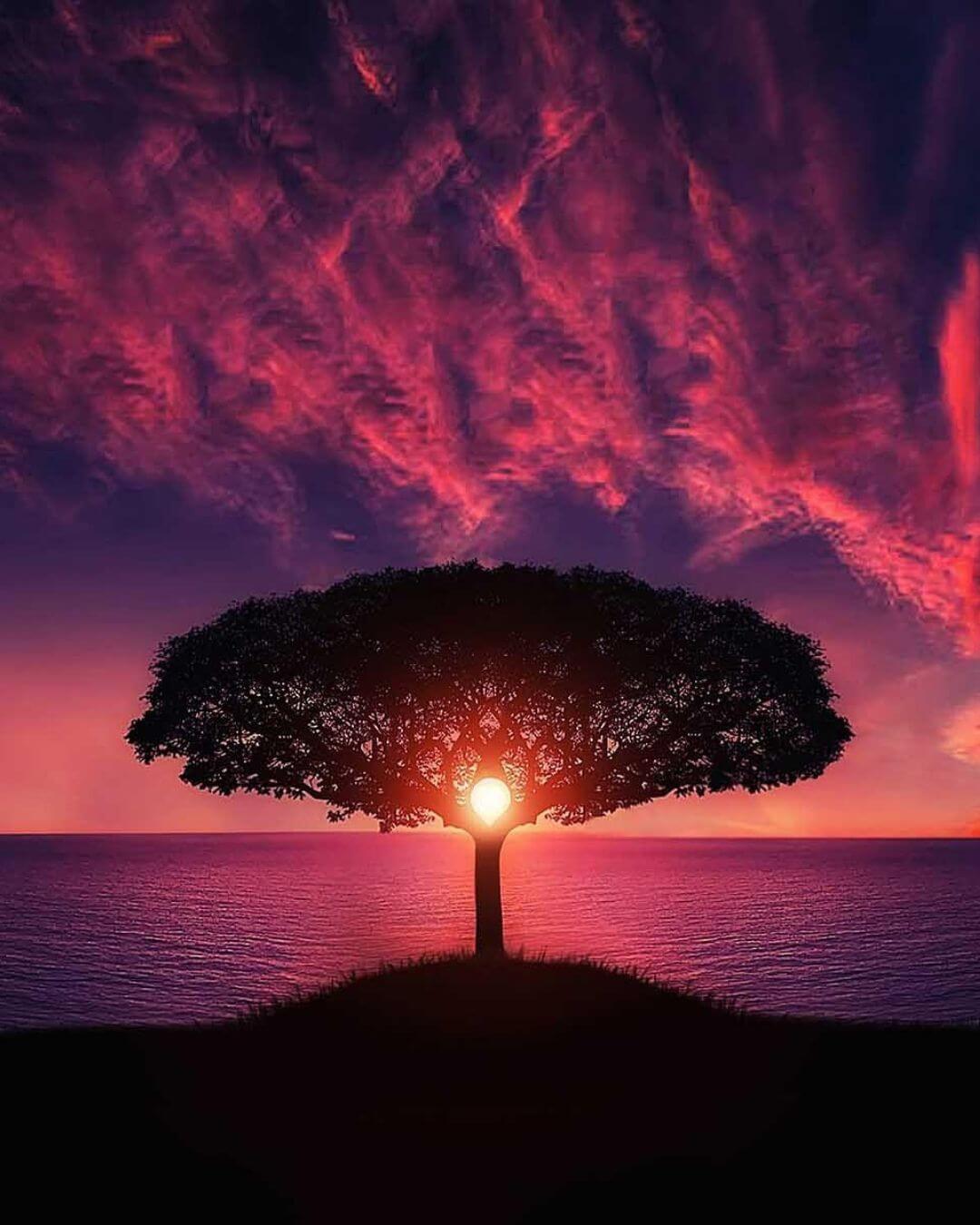 NeuraSonic's tweet card. See how ADHD, ASD, OCD, and PTSD share sensory roots and how sound retraining helps in this 5th post of a solutions series