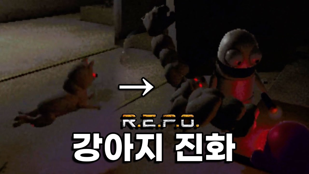 chzzk_control's tweet card. 레포에서 본 3대 500강아지 실존합니다