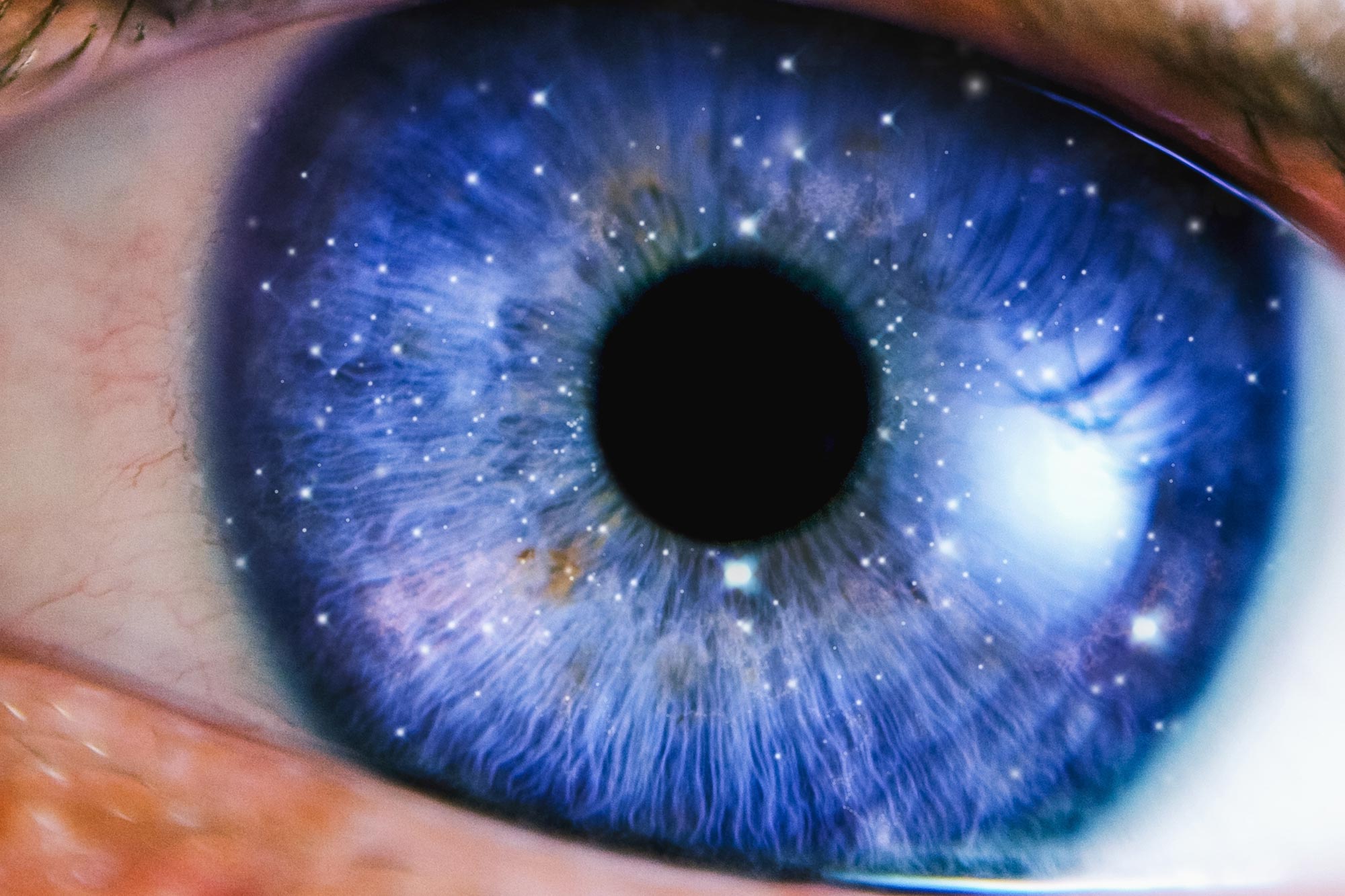 gwardis's tweet card. Summary: Researchers at Ruhr University Bochum explore why consciousness evolved and why different species developed it in distinct ways. By comparing humans with birds, they show that complex...