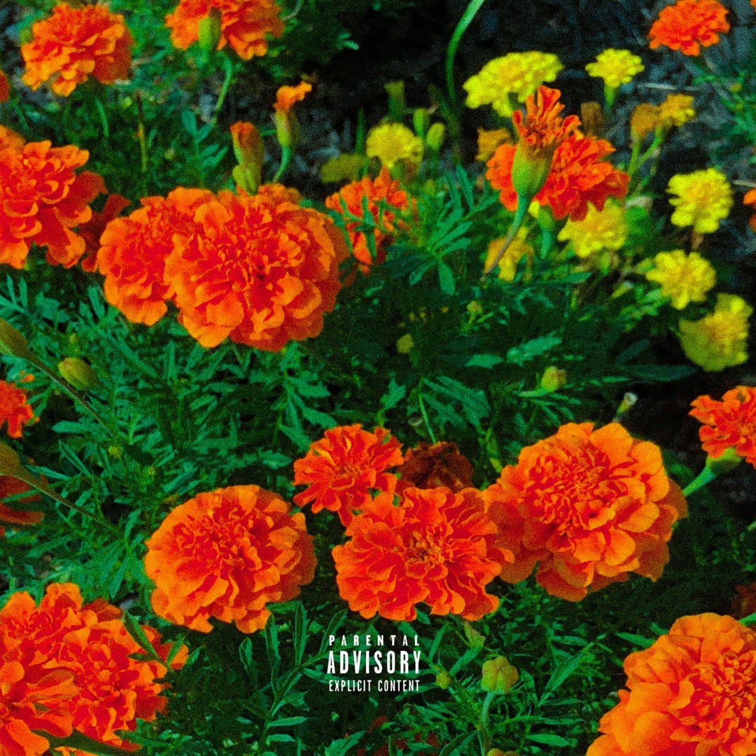 rhhdhdbdbdbsb's tweet card. Good Luck (Prod. Young Orange)