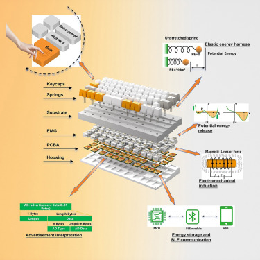 CellRepPhysSci's tweet card. Li et al. present a fully functional, battery-free wireless keyboard that converts fingertip keystrokes into electrical energy via engineered dynamics. The system enables robust, user-invariant...