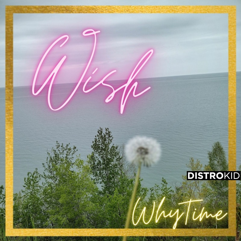 WhyTimeLoFi's tweet card. Stream and Save Wish - Distributed by DistroKid