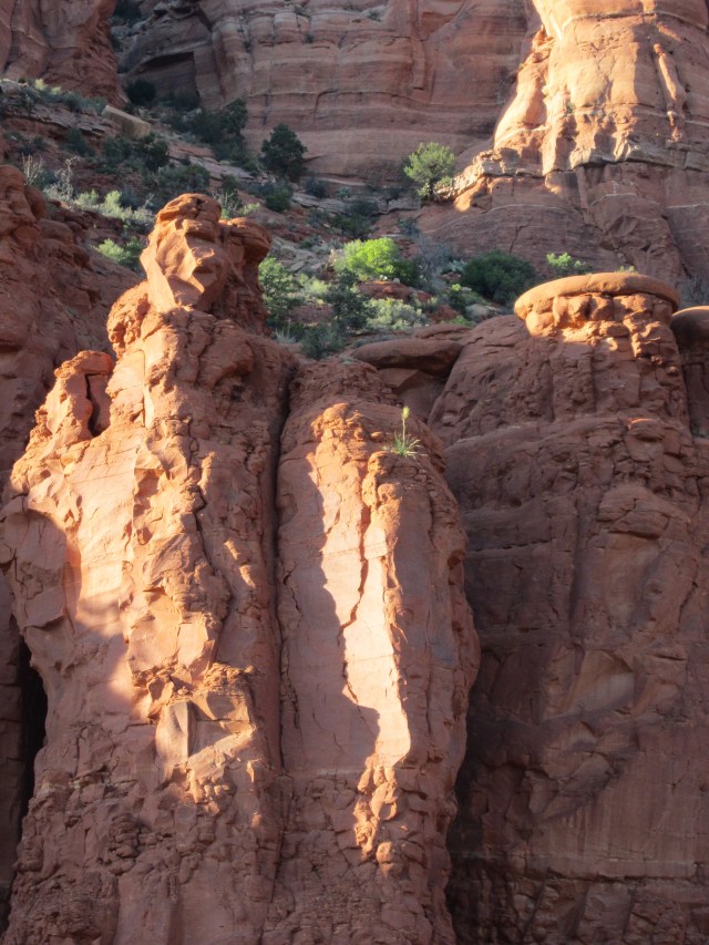 MyDailyMusing's tweet card. Therefore, Pilate would not change the wording, therefore. I suppose, having this particular duty for a soldier, even though what executioners have to do is grim, the job had perks. They get the sp…