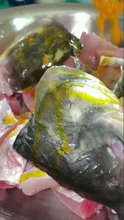 DiljeetSaurabh's tweet card. Masala Fish Curry 😋🔥 || #shorts #fishcurry #homemaderecipe #yummy...