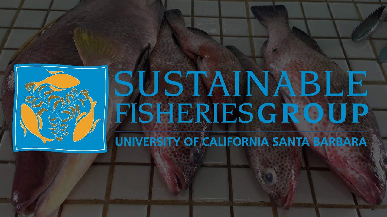 sfgucsb's tweet card. Sustainable Fisheries Group at UCSB