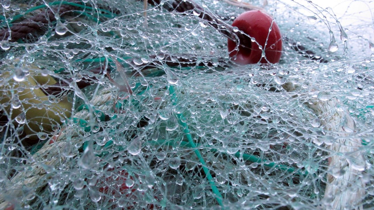 Lab_LATEP's tweet card. Investigadores de la Universidad Rey Juan Carlos obtienen nuevos materiales y envases plásticos al reciclar los aparejos