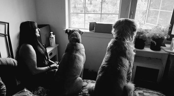 torch_imagez's tweet card. Find more inspiring images at VIEWBUG - the world’s most rewarding photo community.