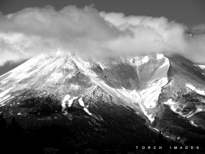 torch_imagez's tweet card. Find more inspiring images at VIEWBUG - the world’s most rewarding photo community.