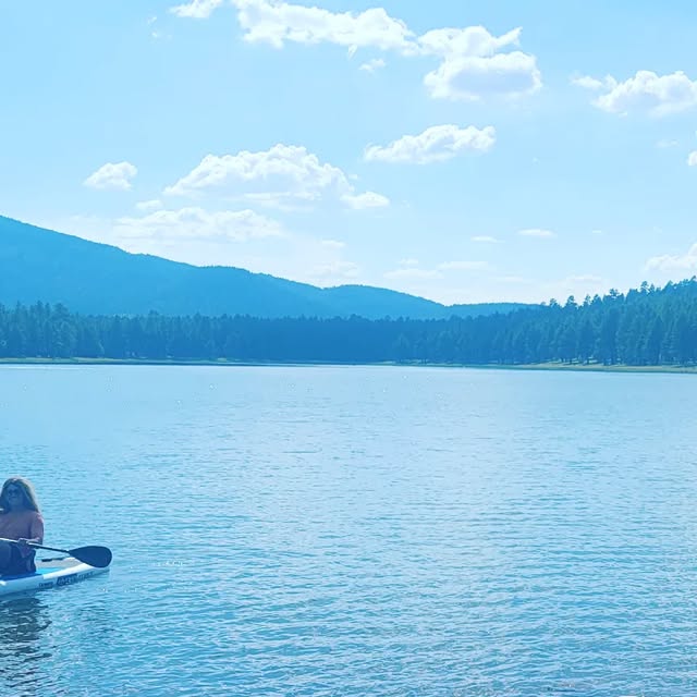 ausialeeberger's tweet card. Ausia Lee Berger (@pandamonium_ausia) • Instagram photos and videos