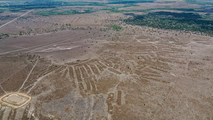 ScienceBlogTwit's tweet card. In the flooded grasslands of Bolivia’s Llanos de Moxos, the land itself keeps a memory. Beneath its shimmering wetlands and winding channels,