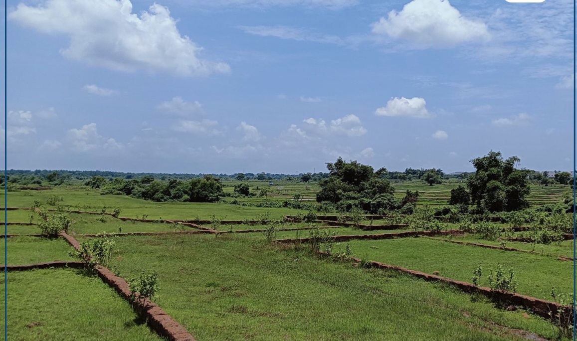 OdishaNewsTune's tweet card. Bhubaneswar, October 13: The Revenue and Disaster Management Department has introduced a new Standard Operating Procedure (SOP) to streamline the registration of part plots across the State. The SOP...