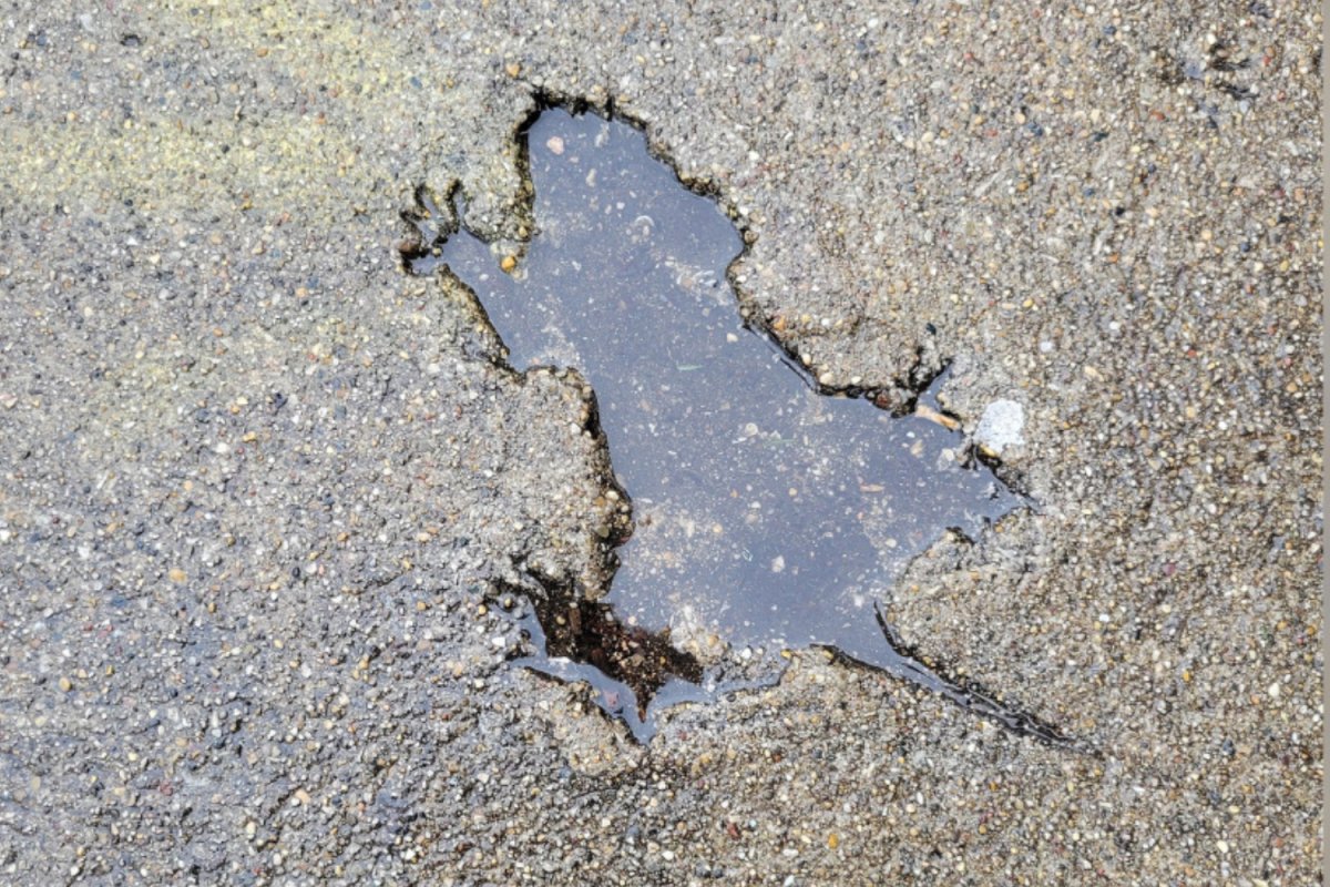 BugOffPest's tweet card. Despite its online fame, no one ever formally analysed the imprint to confirm what left it in the sidewalk—until now.