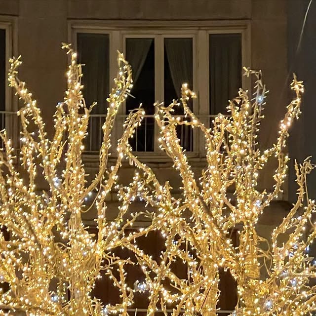 WebRessource's tweet card. Barbara (@webressource) • Instagram photo