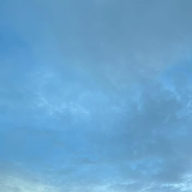 WebRessource's tweet card. Barbara (@webressource) • Instagram photo