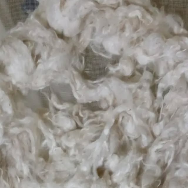 Chantalbears's tweet card. Chantal Giroux (@chantal.bears) • Instagram photo