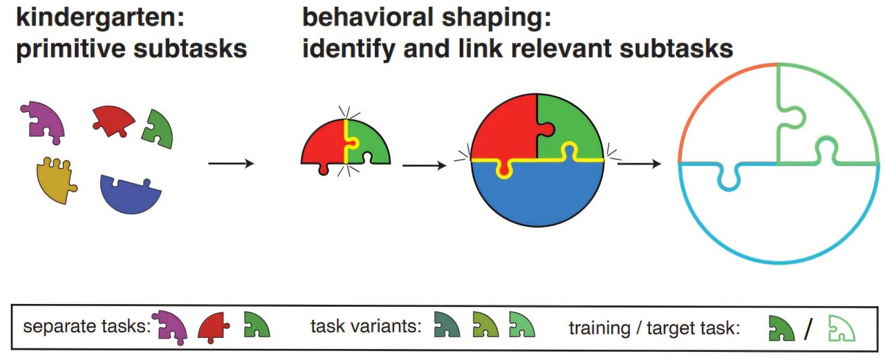TechXplore_com's tweet card. We need to learn our letters before we can learn to read and our numbers before we can learn how to add and subtract. The same principles are true with AI, a team of New York University scientists...