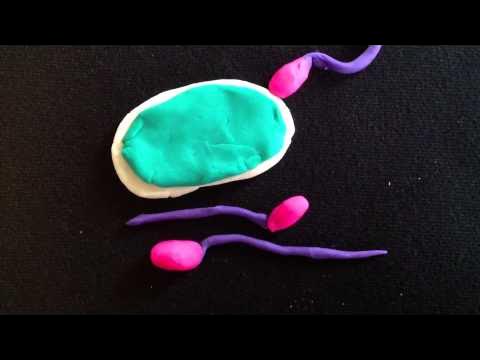 markowenmartin's tweet card. From One, Many