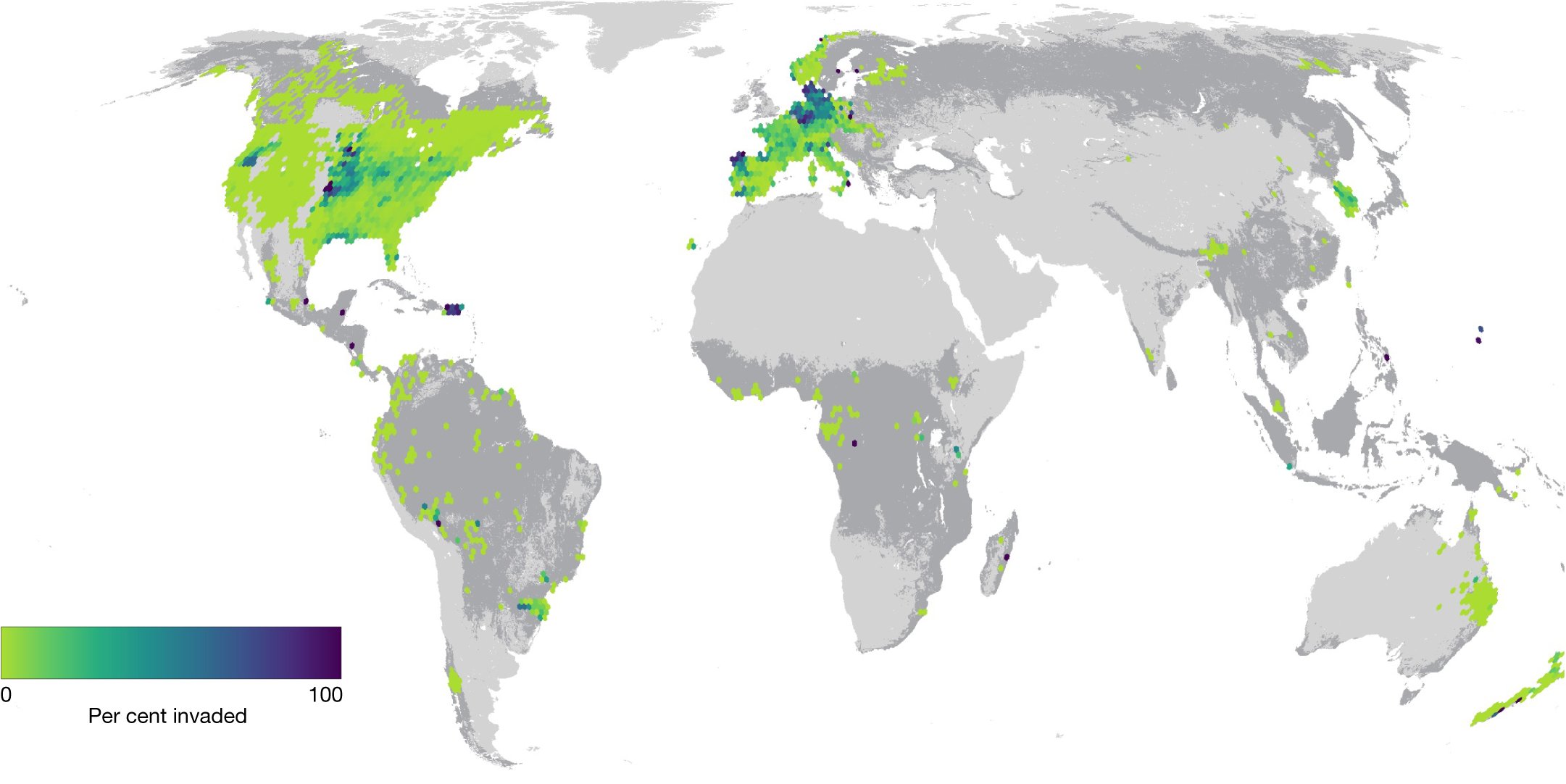 danielsmaynard's tweet card. Nature - Analysis combining multiple global tree databases reveals that whether a location is invaded by non-native tree species depends on anthropogenic factors, but the severity of the invasion...