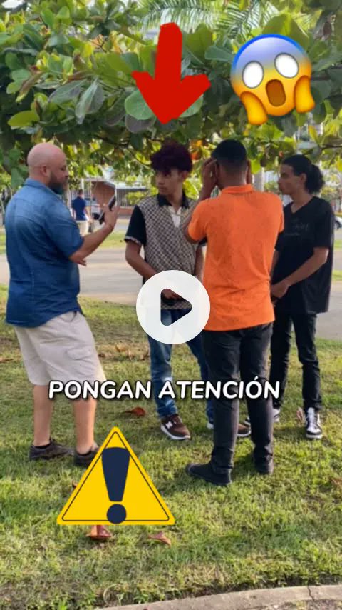 exitoyalegria's tweet card. ¡Publiqué un nuevo video!