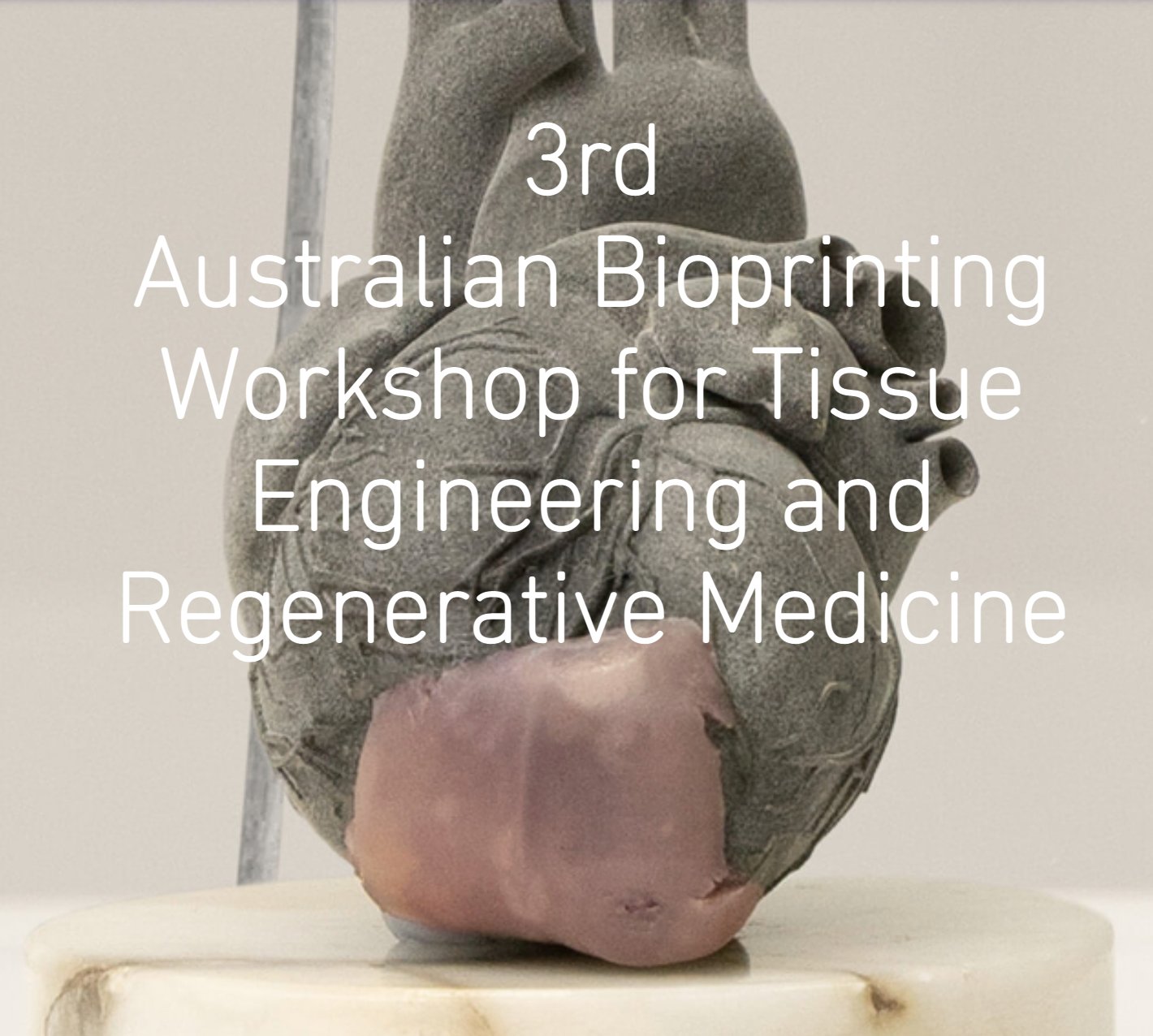 MoroniGroup's tweet card. Ausbioprint is the home of the Australiasian Society for 3D Bioprinting. A community of bioengineers, scientists, and clinicians to work in synergy with industry, government, and regulatory agencies...