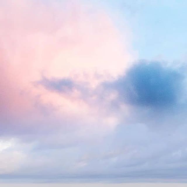 Shellharbour_i's tweet card. Shellharbour NSW Australia (@visitshellharbour) • Instagram photo