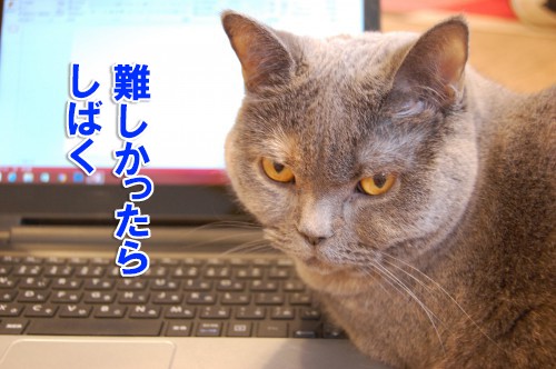 KaoruWebcode's tweet card. どうやら2月1日から（？）Gmail側が、新しいガイドラインを適用したようで、これに伴い、送信側も、セキュリティレベルの強化設定を行わないといけない模様。具体的には、「DKIM」と「DMARC」というやつだそうです（読み方すらわからんが！ｗ）おそらくHP管理者であれば、ご利用のレンタルサーバから、最近同様の通知がきていると思います。例えばさくらインターネットの場合さくらインターネット「DKI...