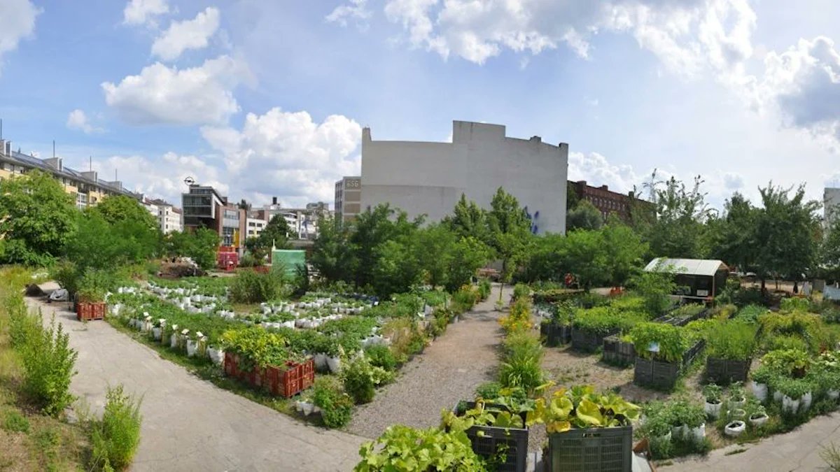 Canter_cc's tweet card. Endlich wird gestritten