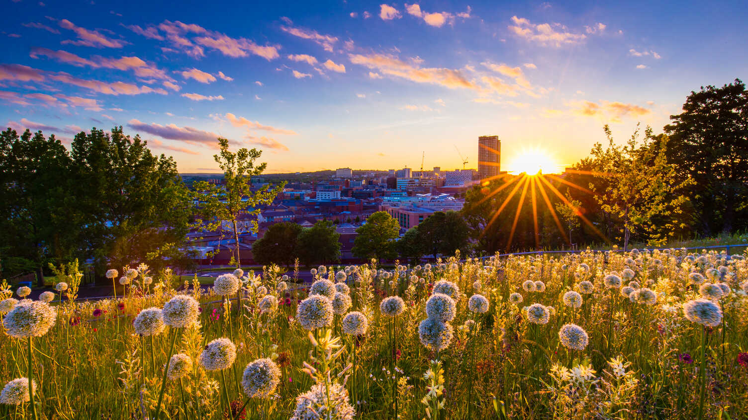 Urban_Inst's tweet card. We are pleased to announce details for the first Sheffield Urbanism Winter Programme - offering a mix of hybrid events taking place in Janaury 2025!