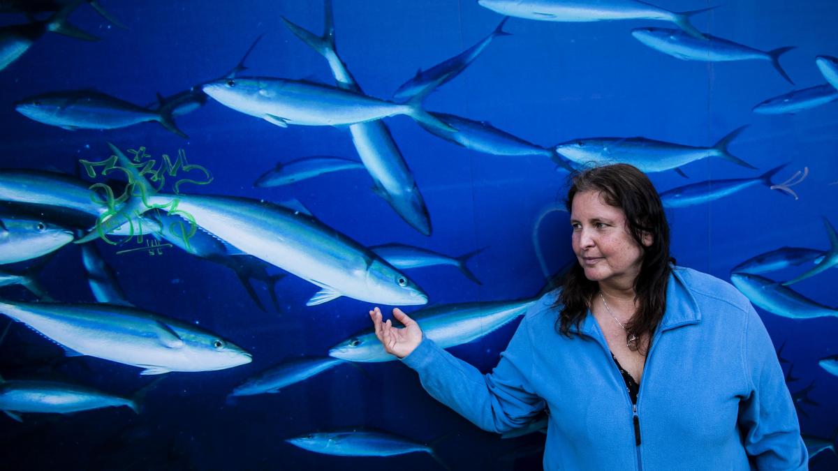 irodap's tweet card. Reducir el ruido submarino, el riesgo de colisiones con cetáceos, rebajar las emisiones de gases de efecto invernadero y gases contaminantes en la atmósfera - Sobre