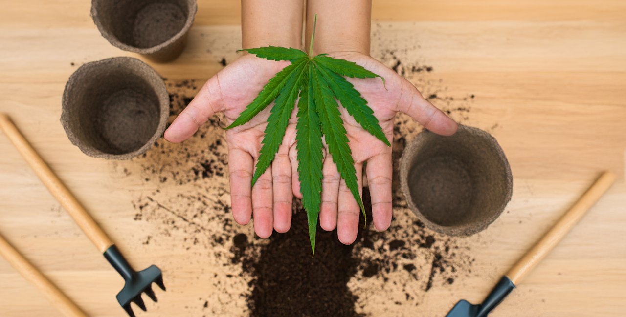 vocnederland's tweet card. President Pavel Thursday signed sweeping reform that eases cannabis rules, expands hate crime protections, and adds a lifelong child safety registry.