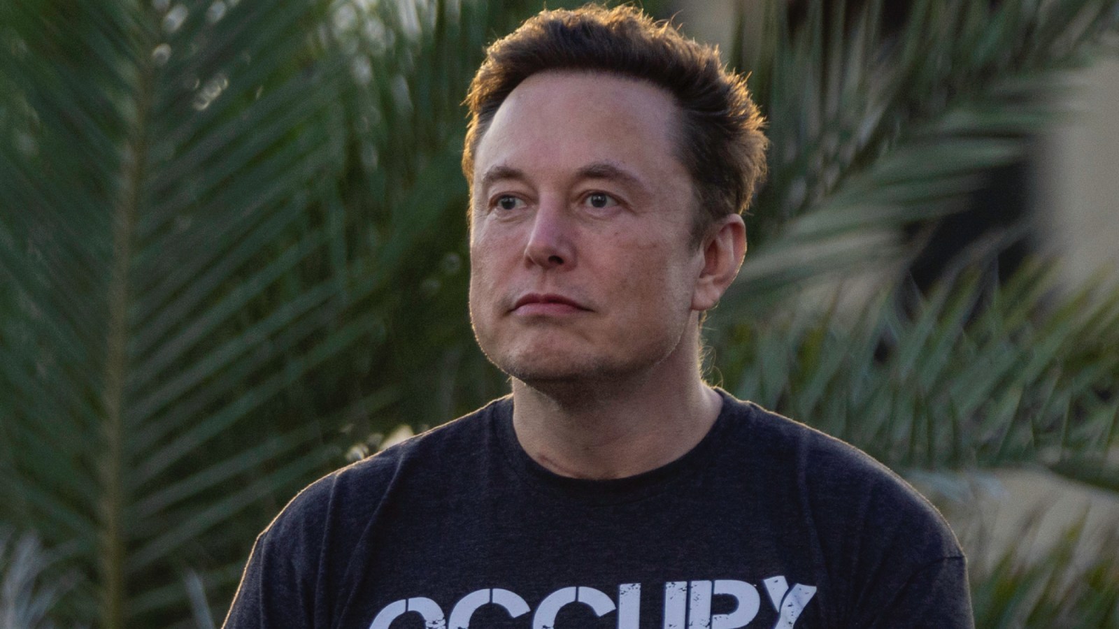 agile_geek's tweet card. Twitter has reinstated the accounts of prominent journalists who had been critical of Elon Musk, who paints himself as a champion of free speech.